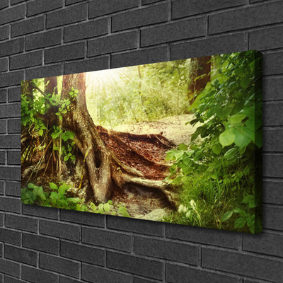 Quadro canvas Tronco de árvore Natureza Floresta
