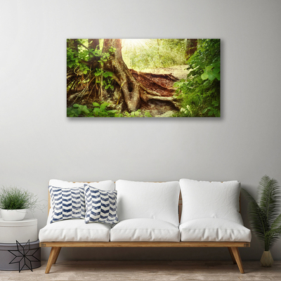 Quadro canvas Tronco de árvore Natureza Floresta