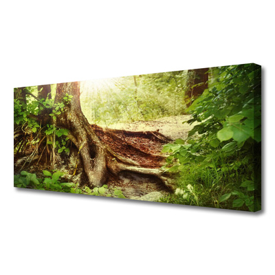 Quadro canvas Tronco de árvore Natureza Floresta