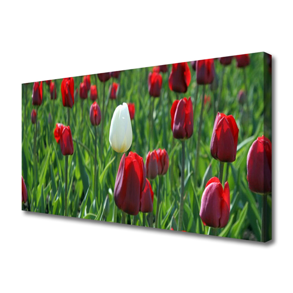 Quadro em tela Tulipas Flores Natureza