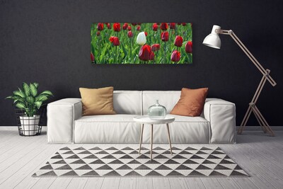 Quadro em tela Tulipas Flores Natureza