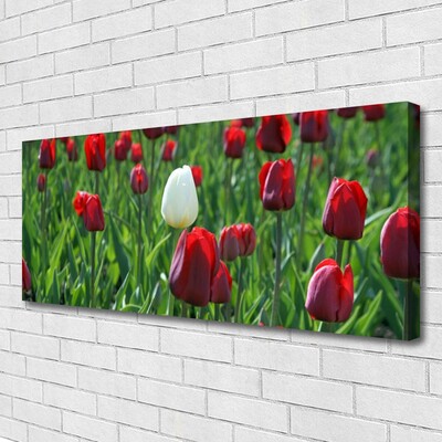 Quadro em tela Tulipas Flores Natureza