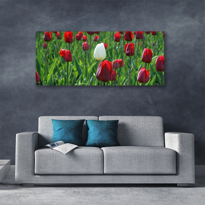 Quadro em tela Tulipas Flores Natureza