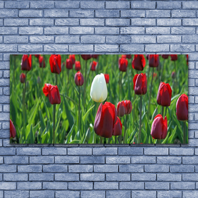 Quadro em tela Tulipas Flores Natureza