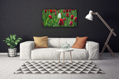 Quadro em tela Tulipas Flores Natureza
