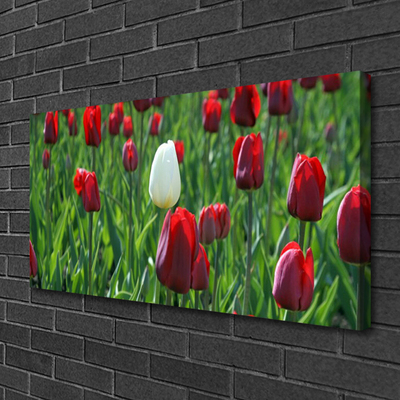 Quadro em tela Tulipas Flores Natureza