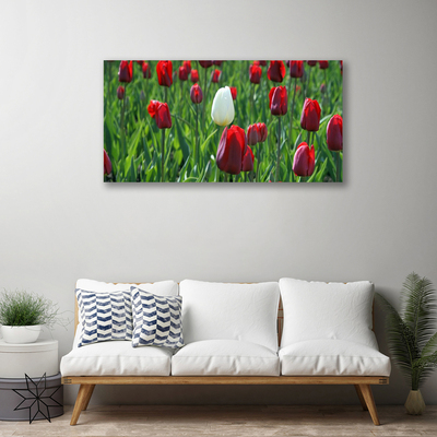 Quadro em tela Tulipas Flores Natureza