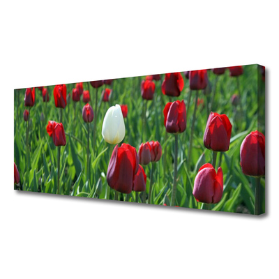 Quadro em tela Tulipas Flores Natureza