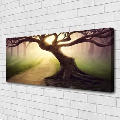 Quadro canvas Raios de sol da árvore