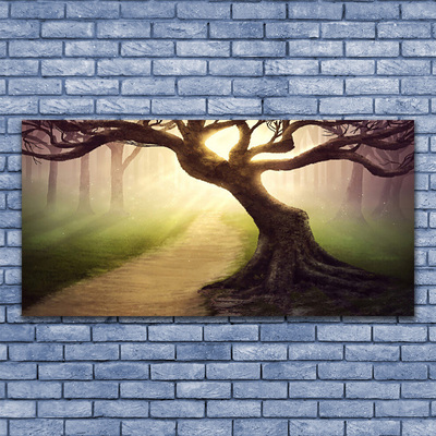 Quadro canvas Raios de sol da árvore