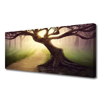 Quadro canvas Raios de sol da árvore