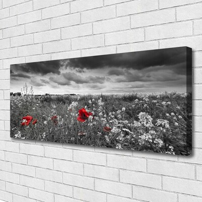 Quadro em tela Paisagem de flores do prado