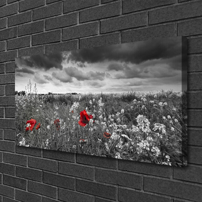 Quadro em tela Paisagem de flores do prado