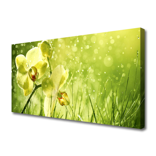 Quadro canvas Grama Natureza Planta