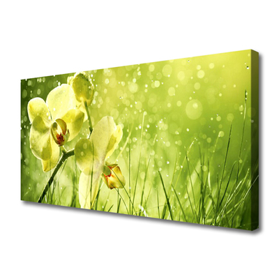 Quadro canvas Grama Natureza Planta