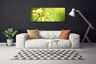 Quadro canvas Grama Natureza Planta