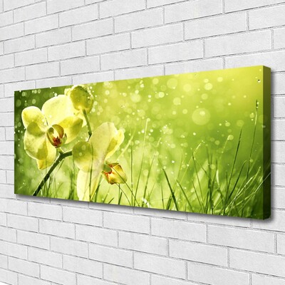 Quadro canvas Grama Natureza Planta