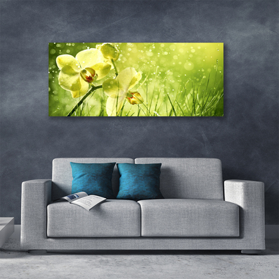Quadro canvas Grama Natureza Planta