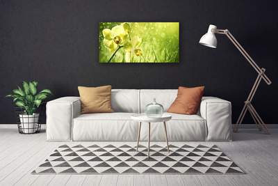 Quadro canvas Grama Natureza Planta