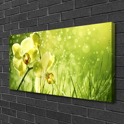 Quadro canvas Grama Natureza Planta