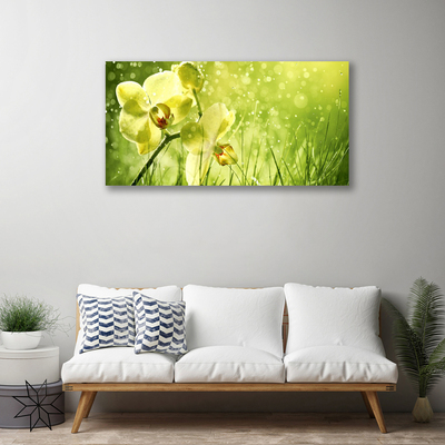 Quadro canvas Grama Natureza Planta