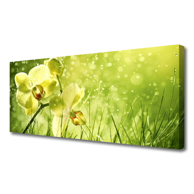 Quadro canvas Grama Natureza Planta