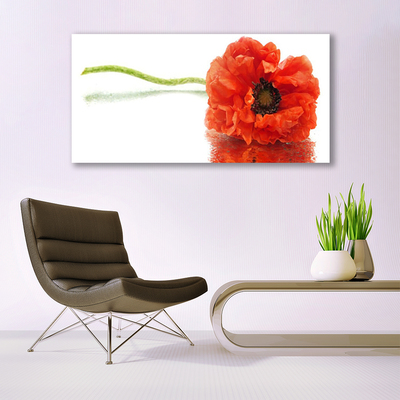 Quadro em tela Flores Natureza Natureza