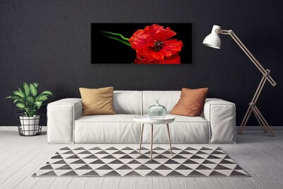 Quadro canvas Flor Papoula Planta Natureza