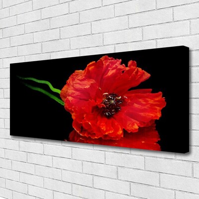 Quadro canvas Flor Papoula Planta Natureza