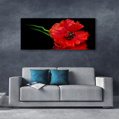 Quadro canvas Flor Papoula Planta Natureza