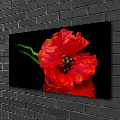 Quadro canvas Flor Papoula Planta Natureza
