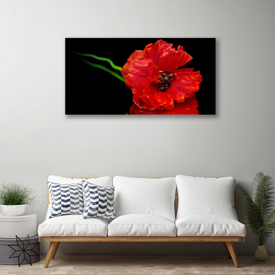 Quadro canvas Flor Papoula Planta Natureza