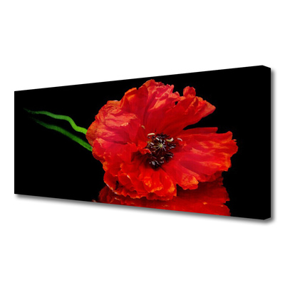 Quadro canvas Flor Papoula Planta Natureza