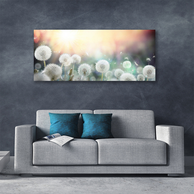 Quadro em tela Flores de dente-de-leão Natureza