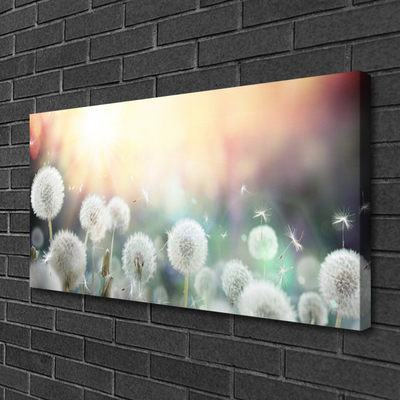 Quadro em tela Flores de dente-de-leão Natureza