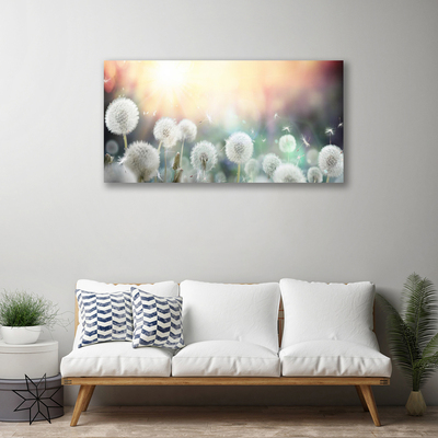 Quadro em tela Flores de dente-de-leão Natureza