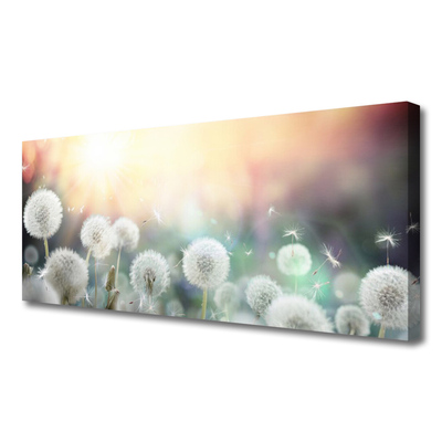 Quadro em tela Flores de dente-de-leão Natureza