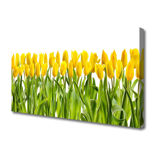 Quadro canvas Tulipas Flores Natureza