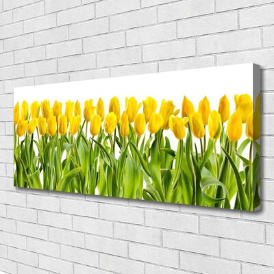 Quadro canvas Tulipas Flores Natureza