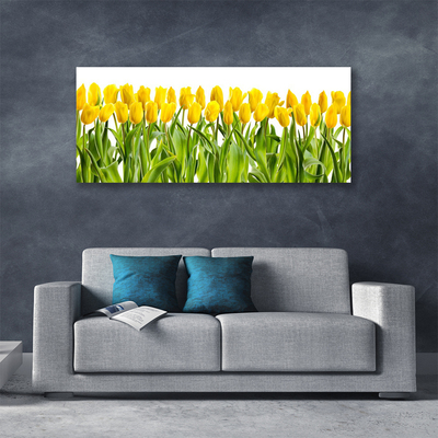 Quadro canvas Tulipas Flores Natureza