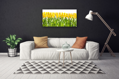 Quadro canvas Tulipas Flores Natureza