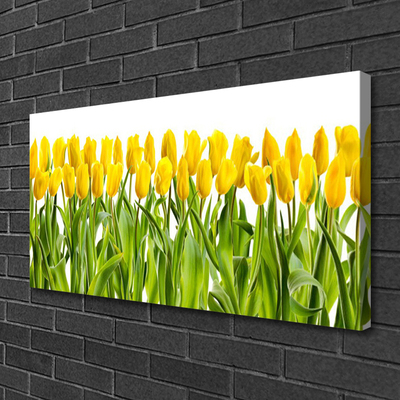 Quadro canvas Tulipas Flores Natureza