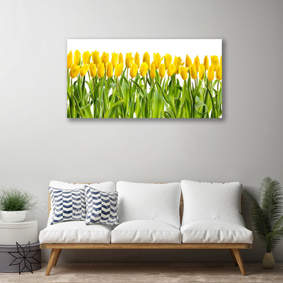 Quadro canvas Tulipas Flores Natureza