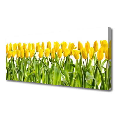Quadro canvas Tulipas Flores Natureza