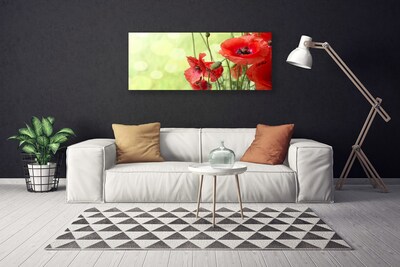 Quadro canvas Papoulas Flores Natureza Planta