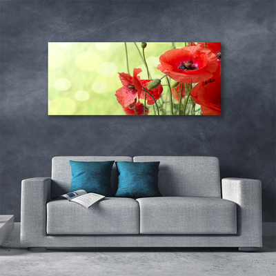 Quadro canvas Papoulas Flores Natureza Planta