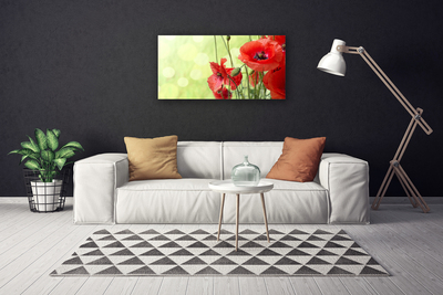 Quadro canvas Papoulas Flores Natureza Planta