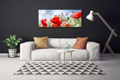 Quadro em tela Papoulas Margaridas Flores