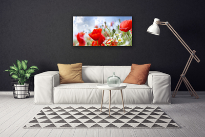 Quadro em tela Papoulas Margaridas Flores
