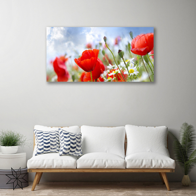 Quadro em tela Papoulas Margaridas Flores